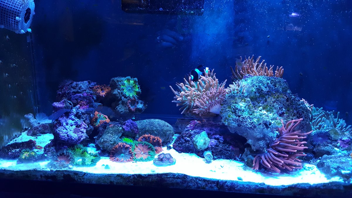 20180614_202029.jpg