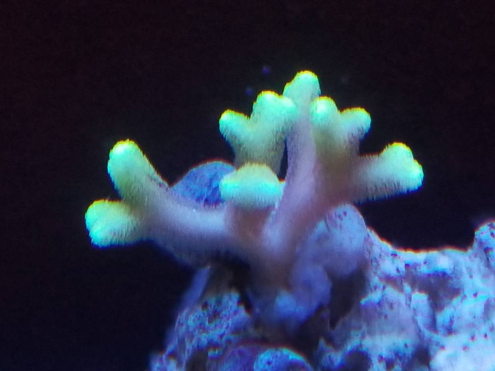 20180615_190437.jpeg