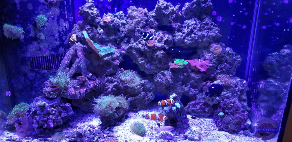 20180616_175015.jpeg