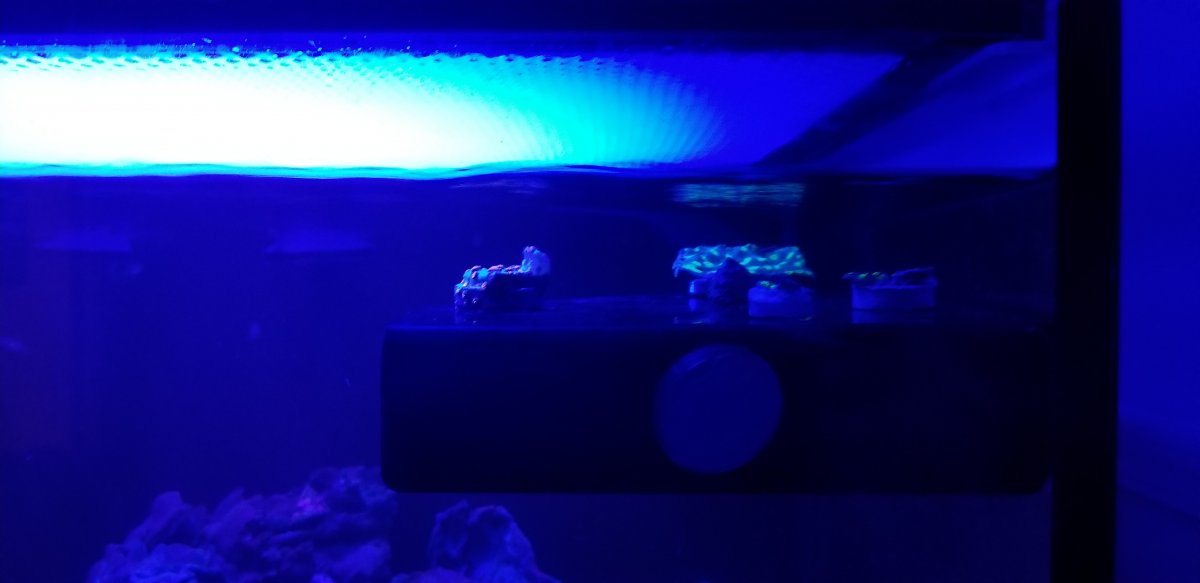 20180618_003301.jpg