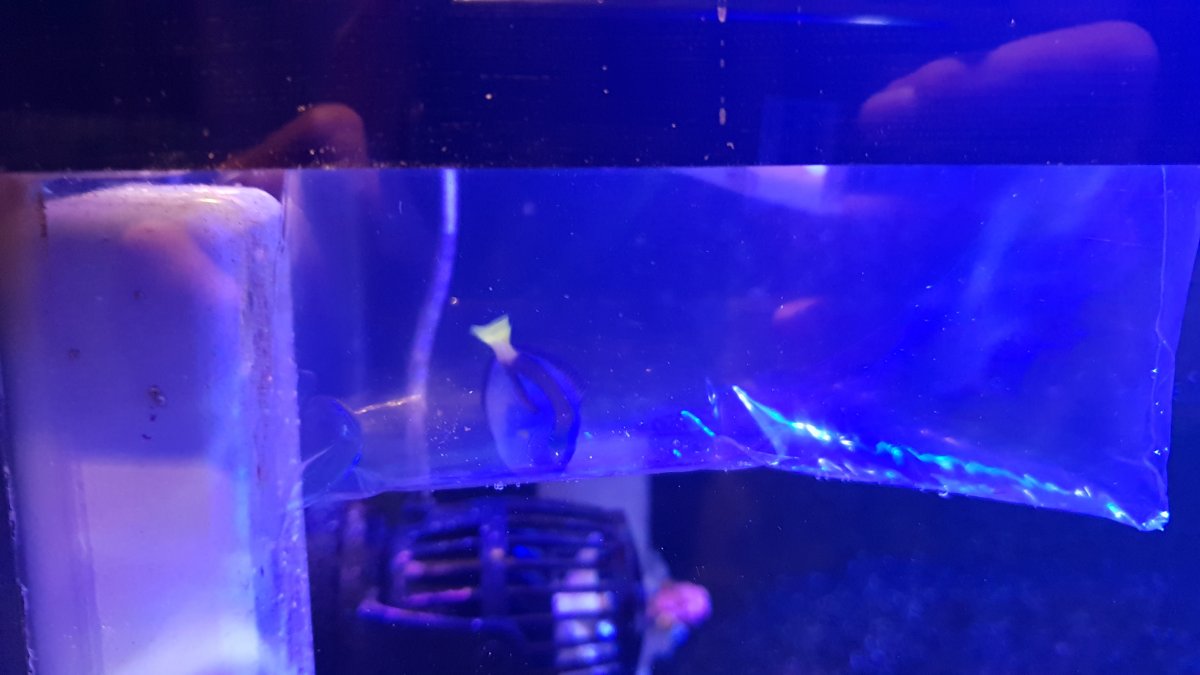 20180618_172952.jpg