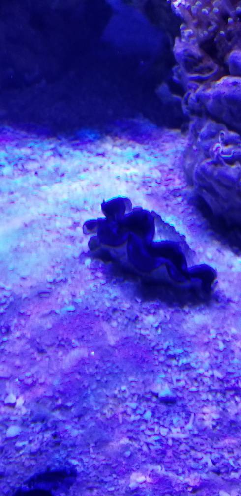 20180624_113508.jpeg