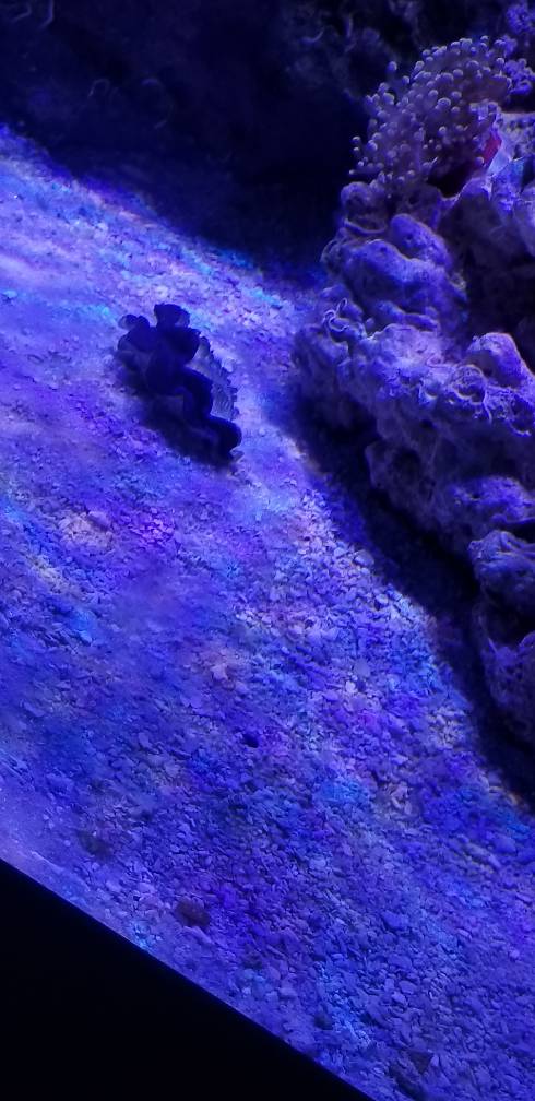 20180624_113526.jpeg