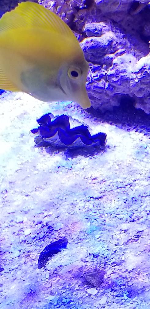 20180624_113630.jpeg