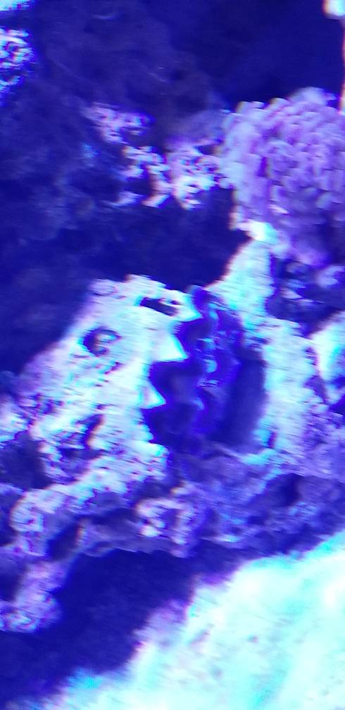 20180626_163124.jpeg