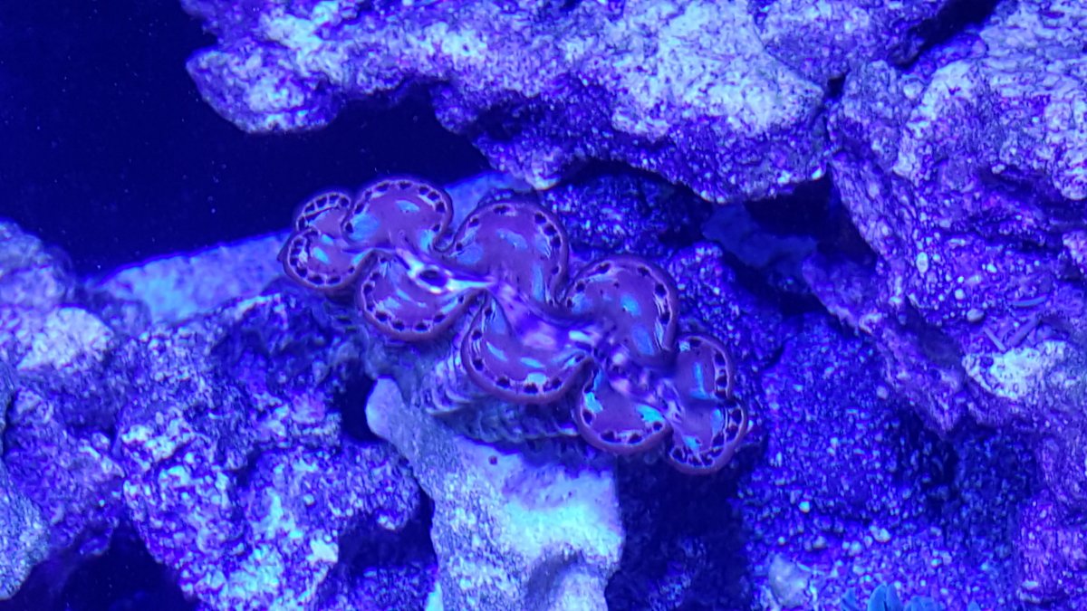 20180628_113815.jpg