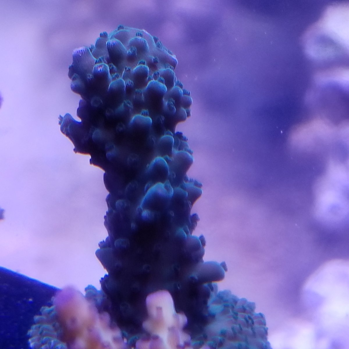 20180628_153701.jpg