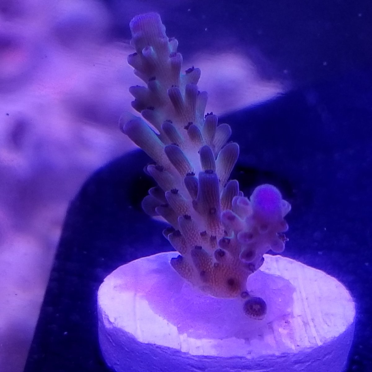 20180628_153733.jpg