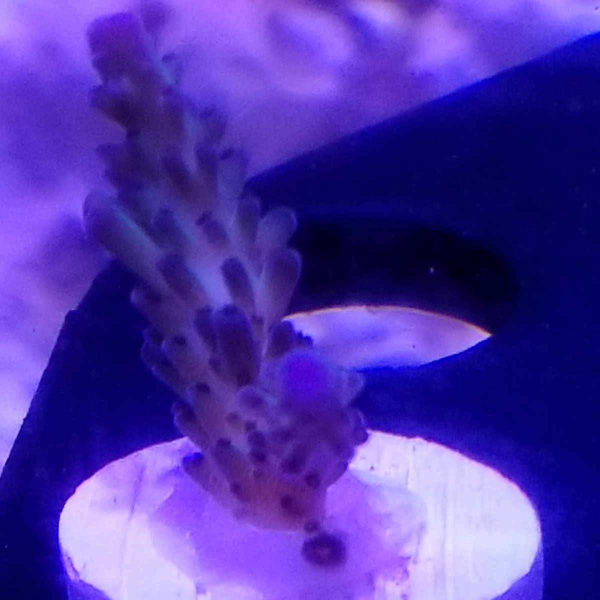 20180628_153804.jpg