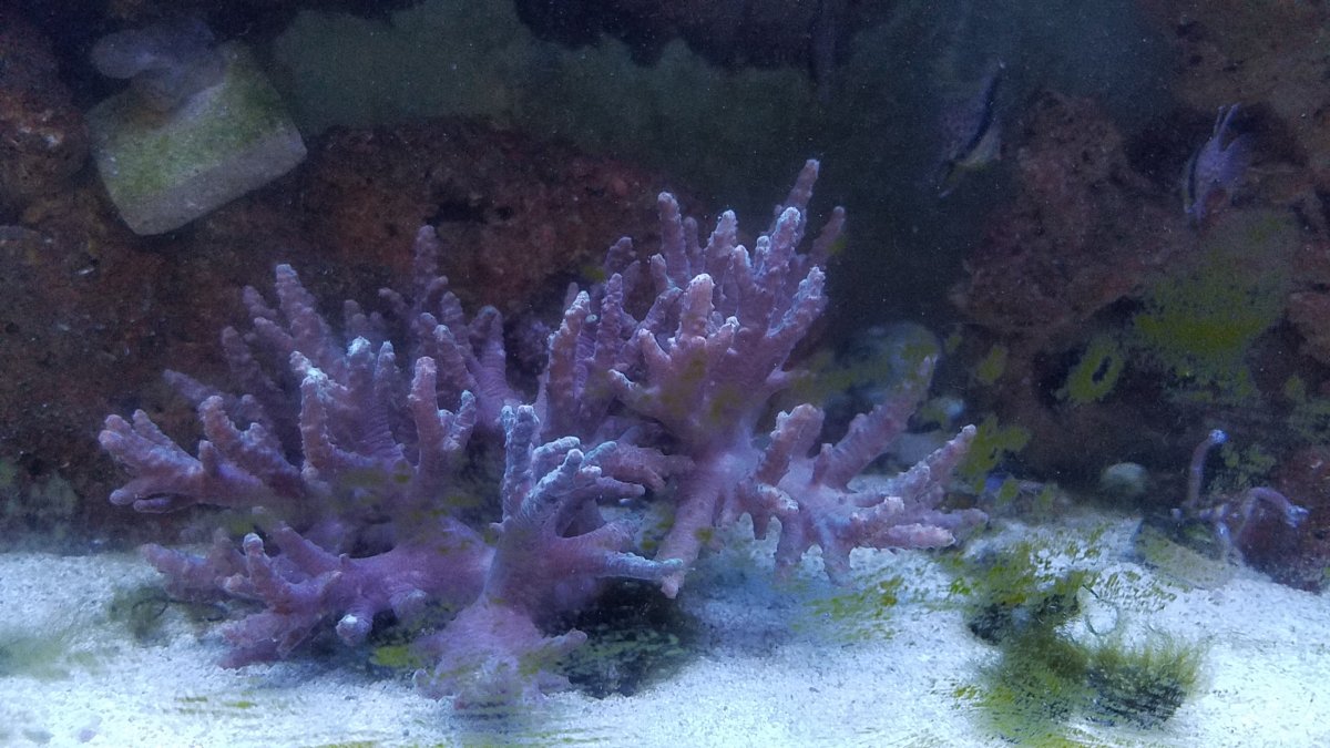 20180628_164729.jpg