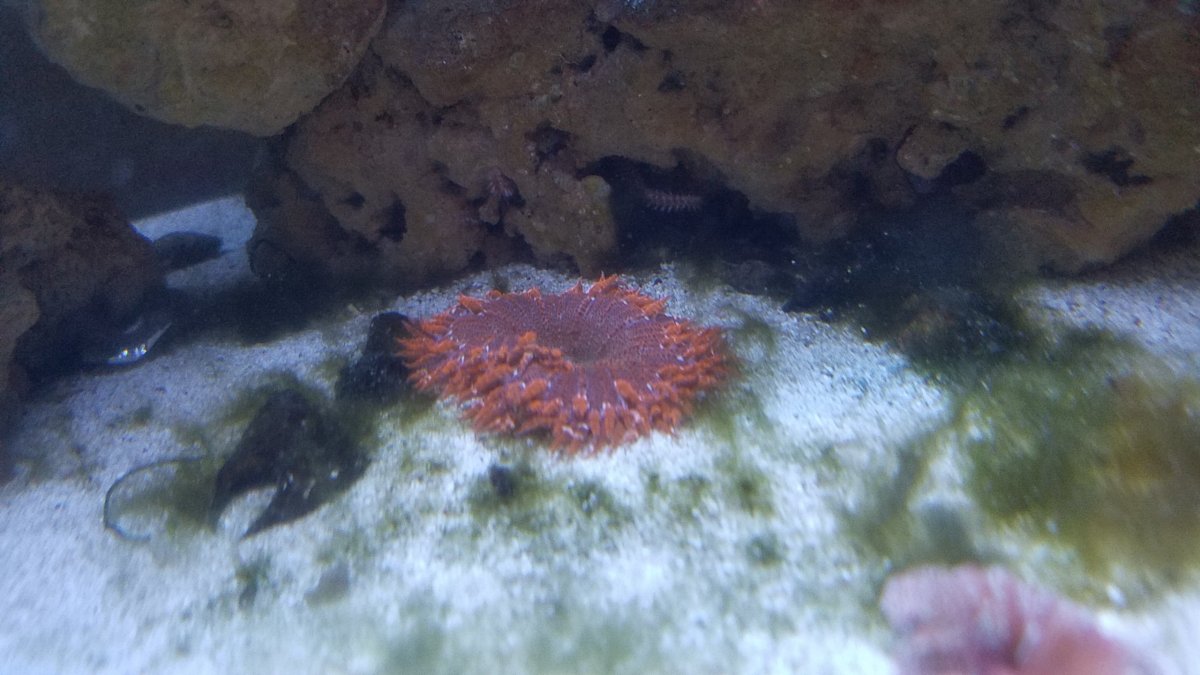 20180628_164804.jpg