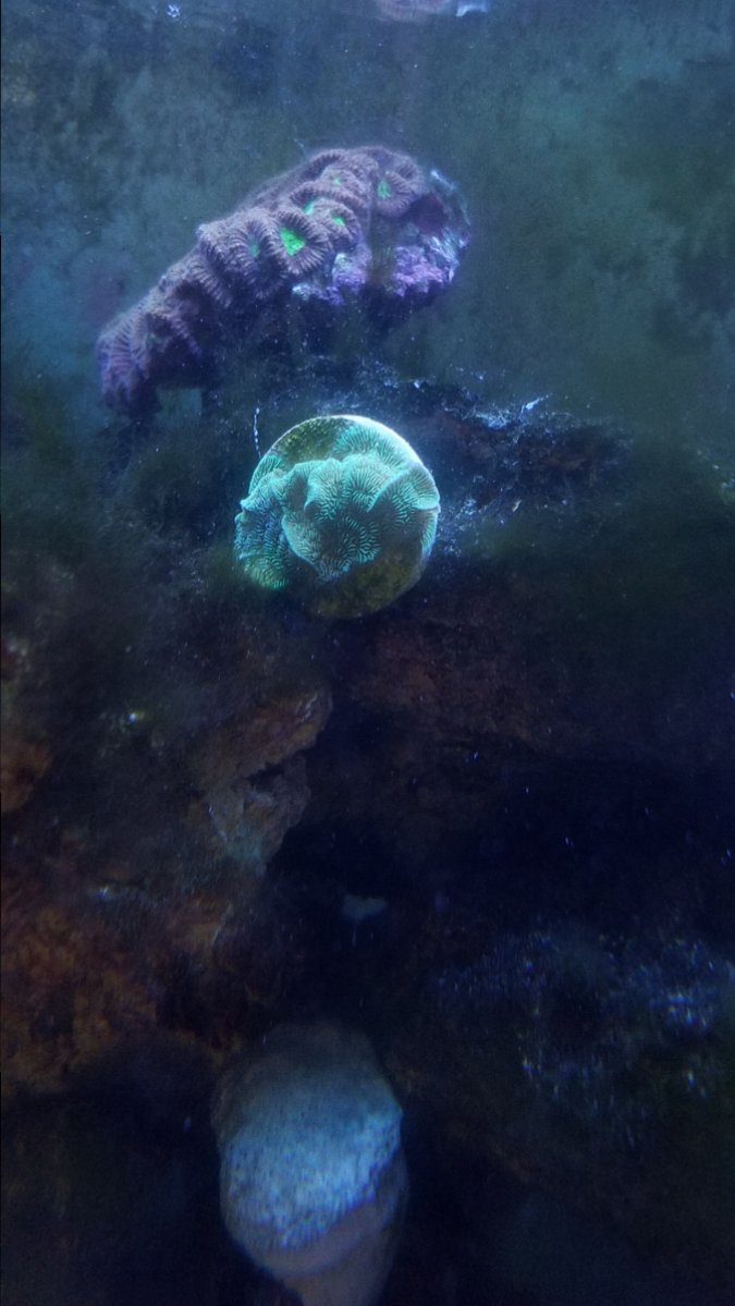 20180628_170913.jpg