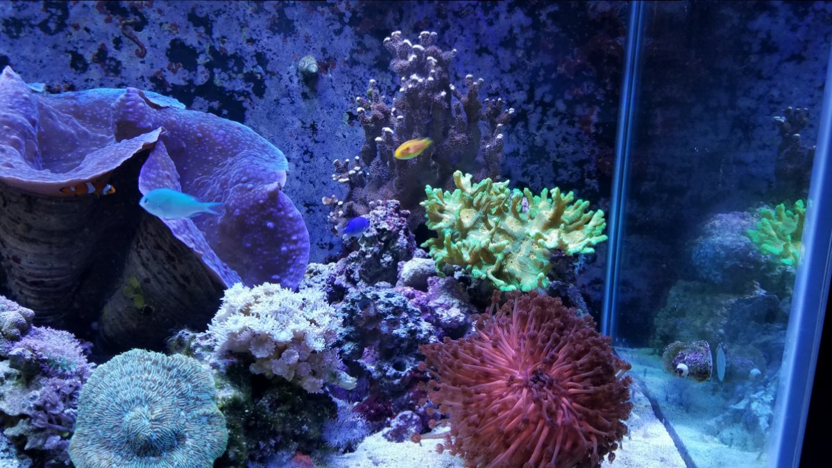20180629_144604.jpg