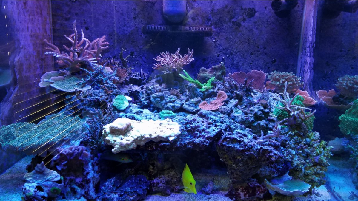 20180629_144635.jpg