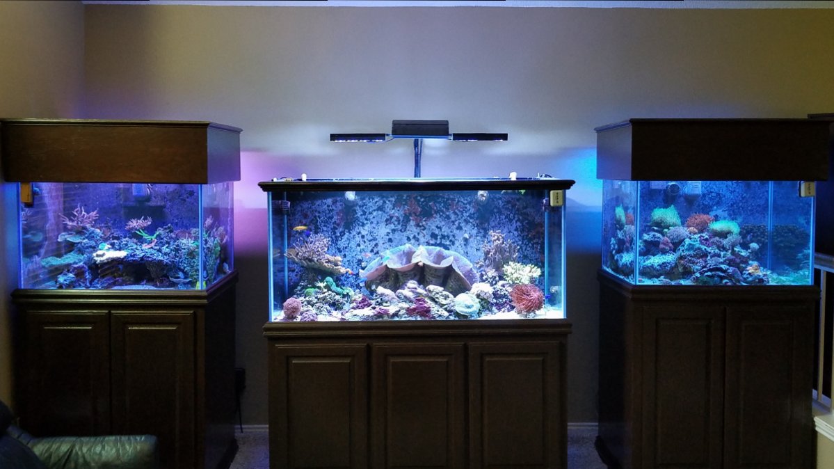 20180629_144716.jpg