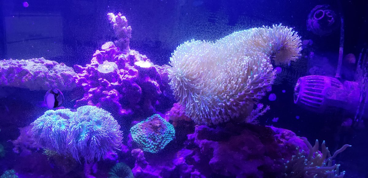 20180701_181052.jpg