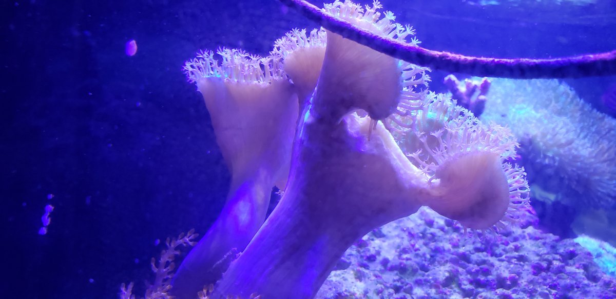 20180701_181105.jpg