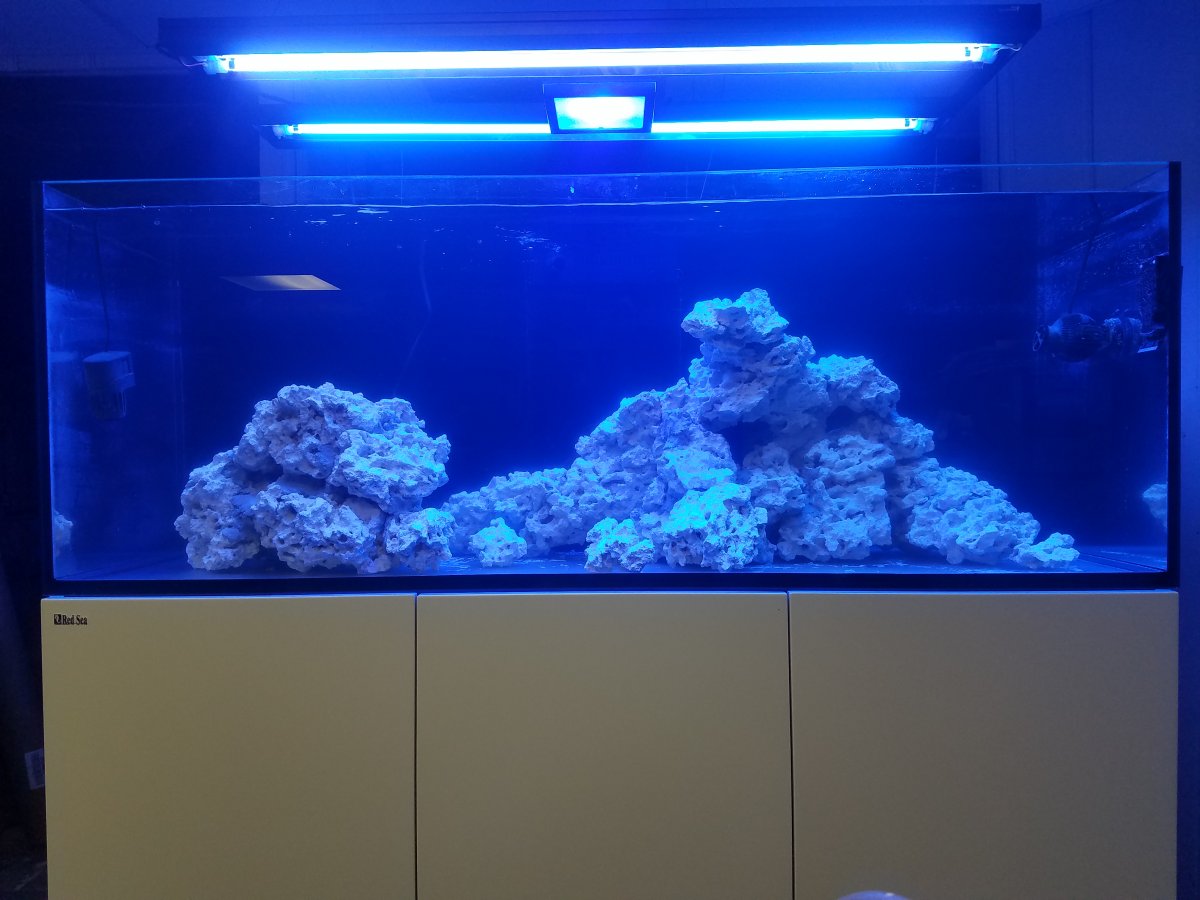 20180702_071840.jpg
