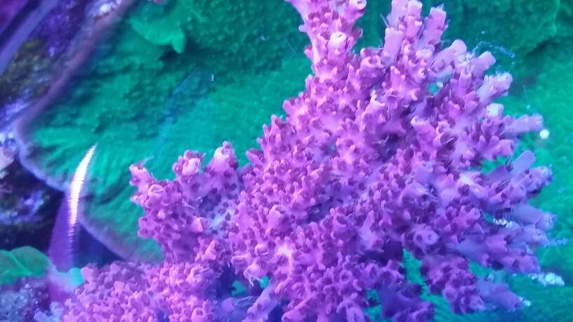 20180703_180843.jpeg