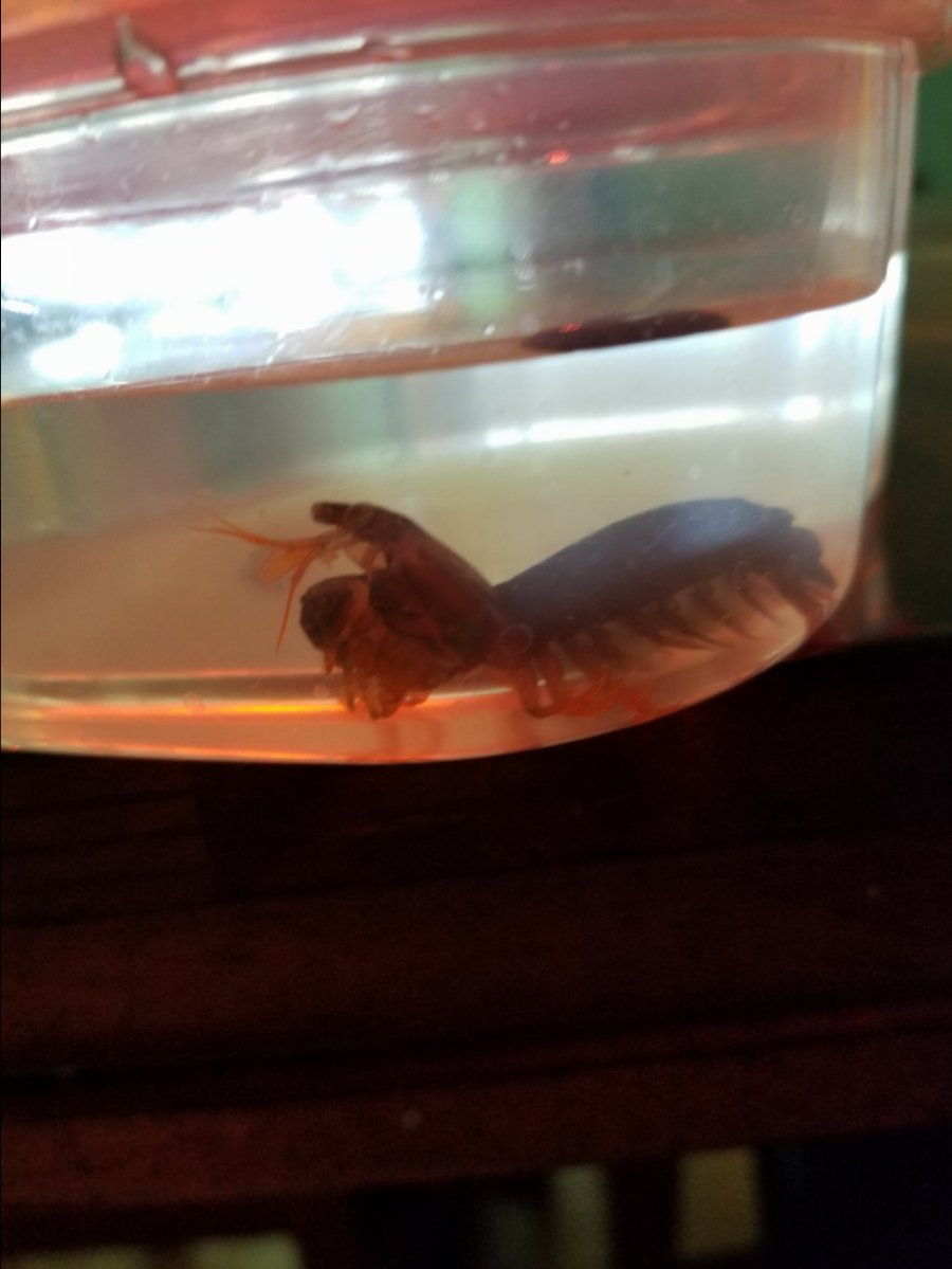 20180707_144954.jpg