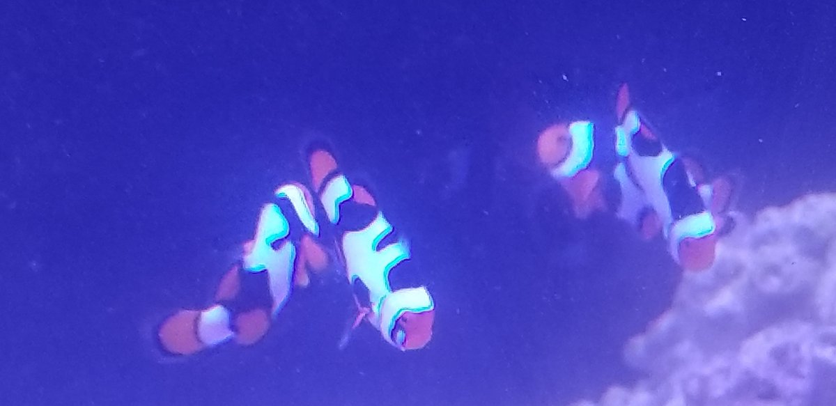20180707_164734.jpg