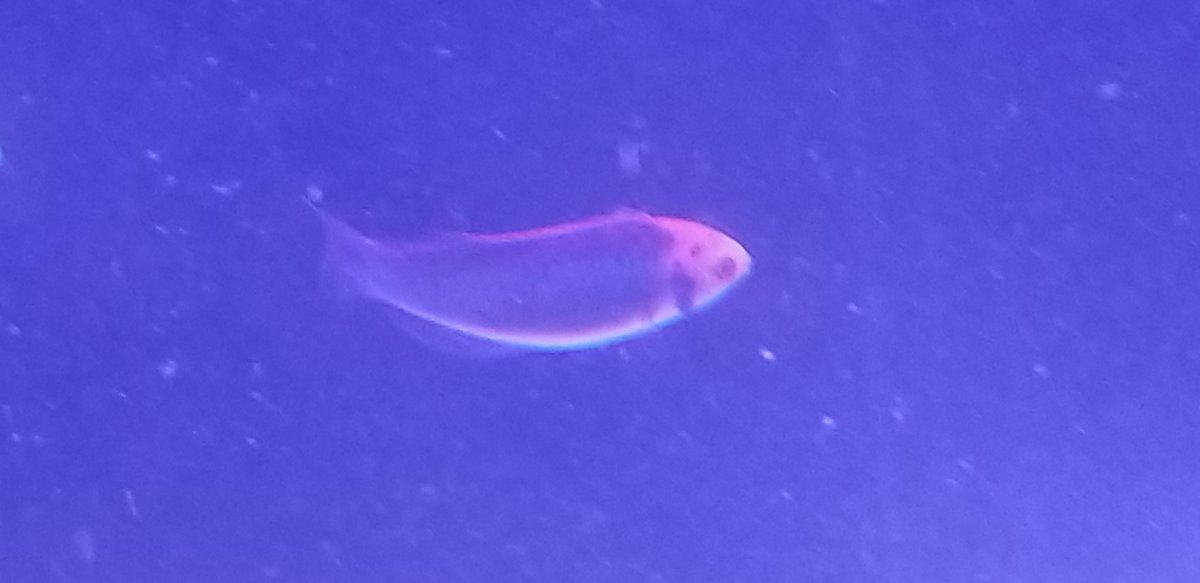 20180707_164744.jpg
