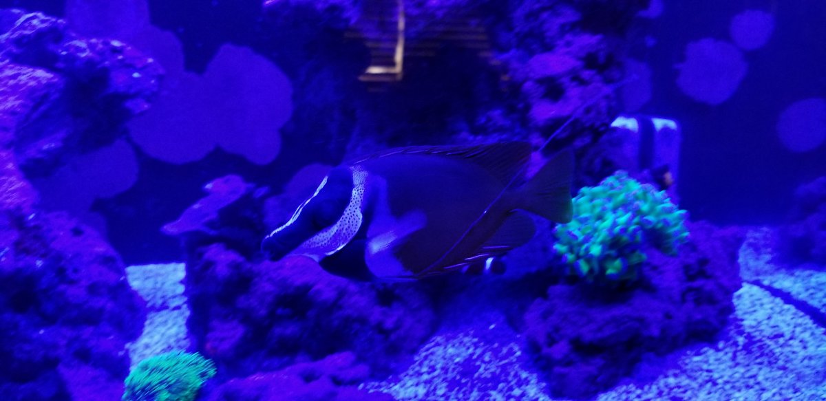 20180708_124510.jpg