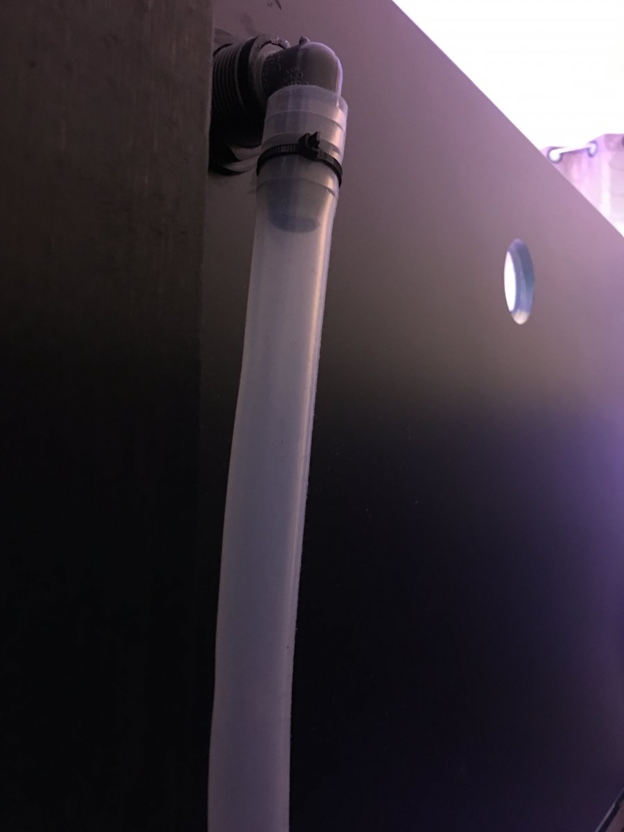 20180708_211648705_iOS.jpg