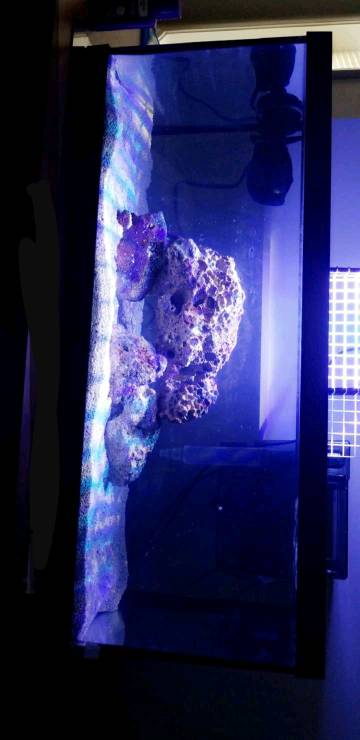 20180710_155840.jpeg