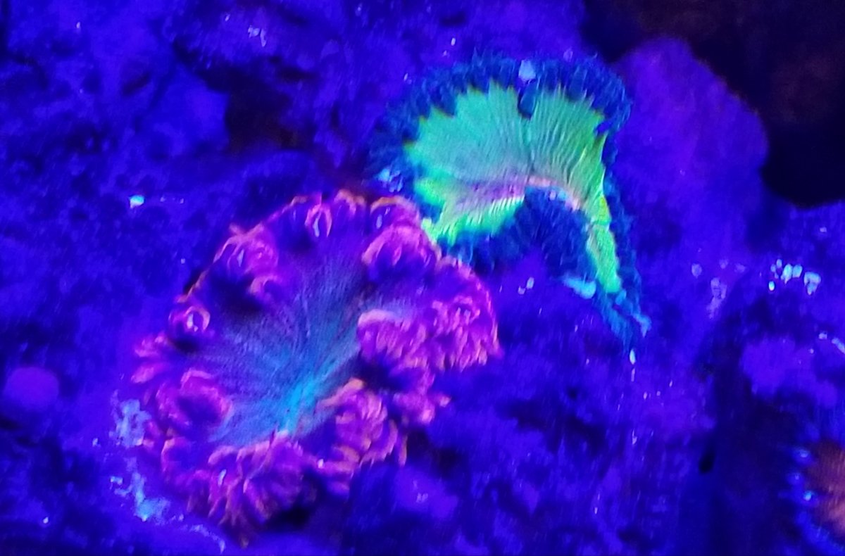 20180710_212435.jpg