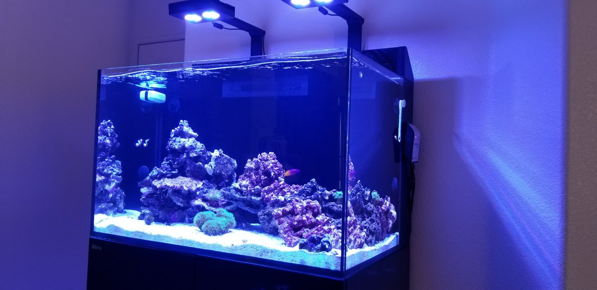 20180711_165552.jpg