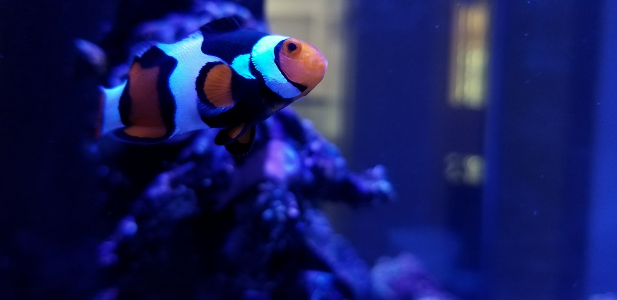20180711_165840.jpg