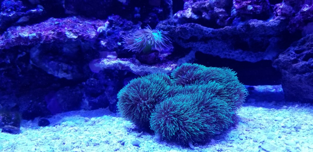 20180711_170037.jpg