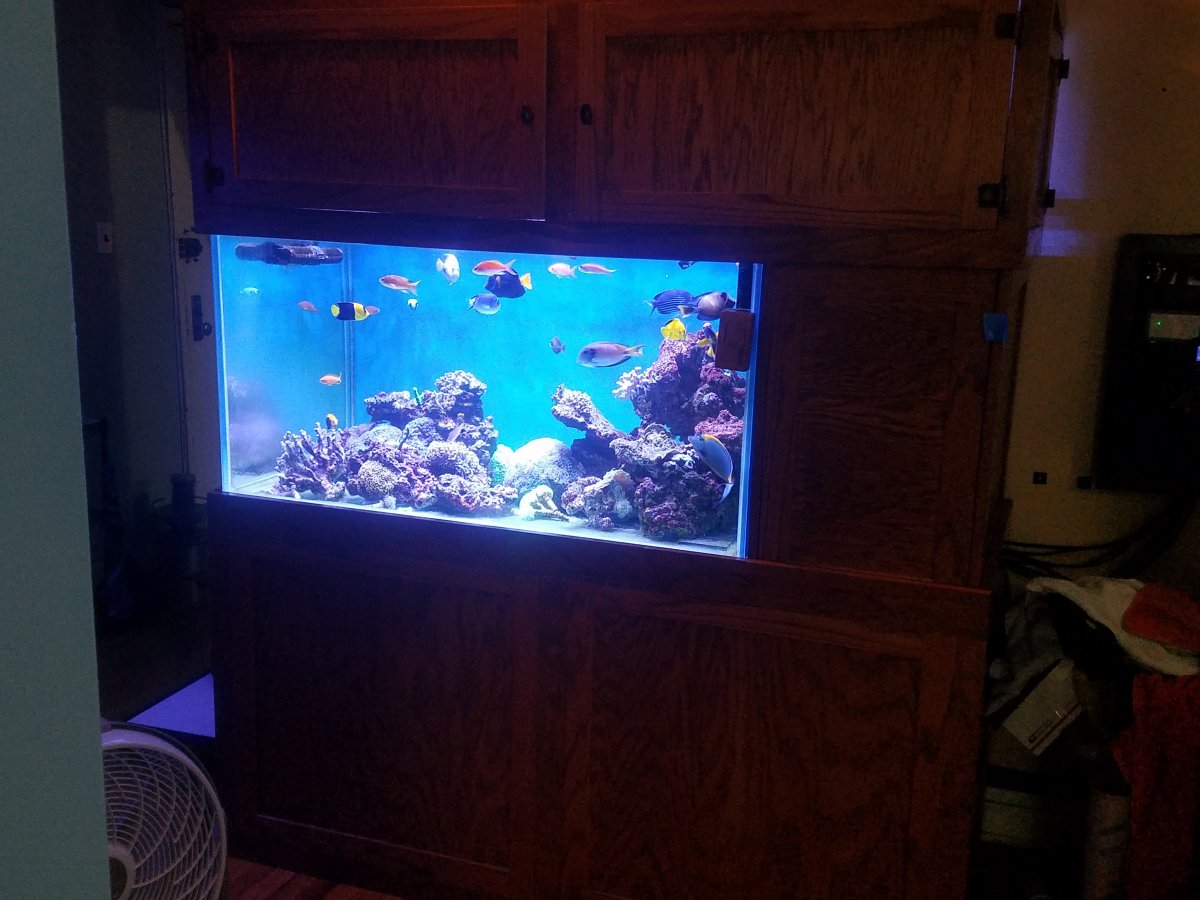 20180712_125207.jpg
