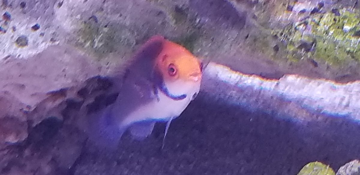 20180714_115802.jpg