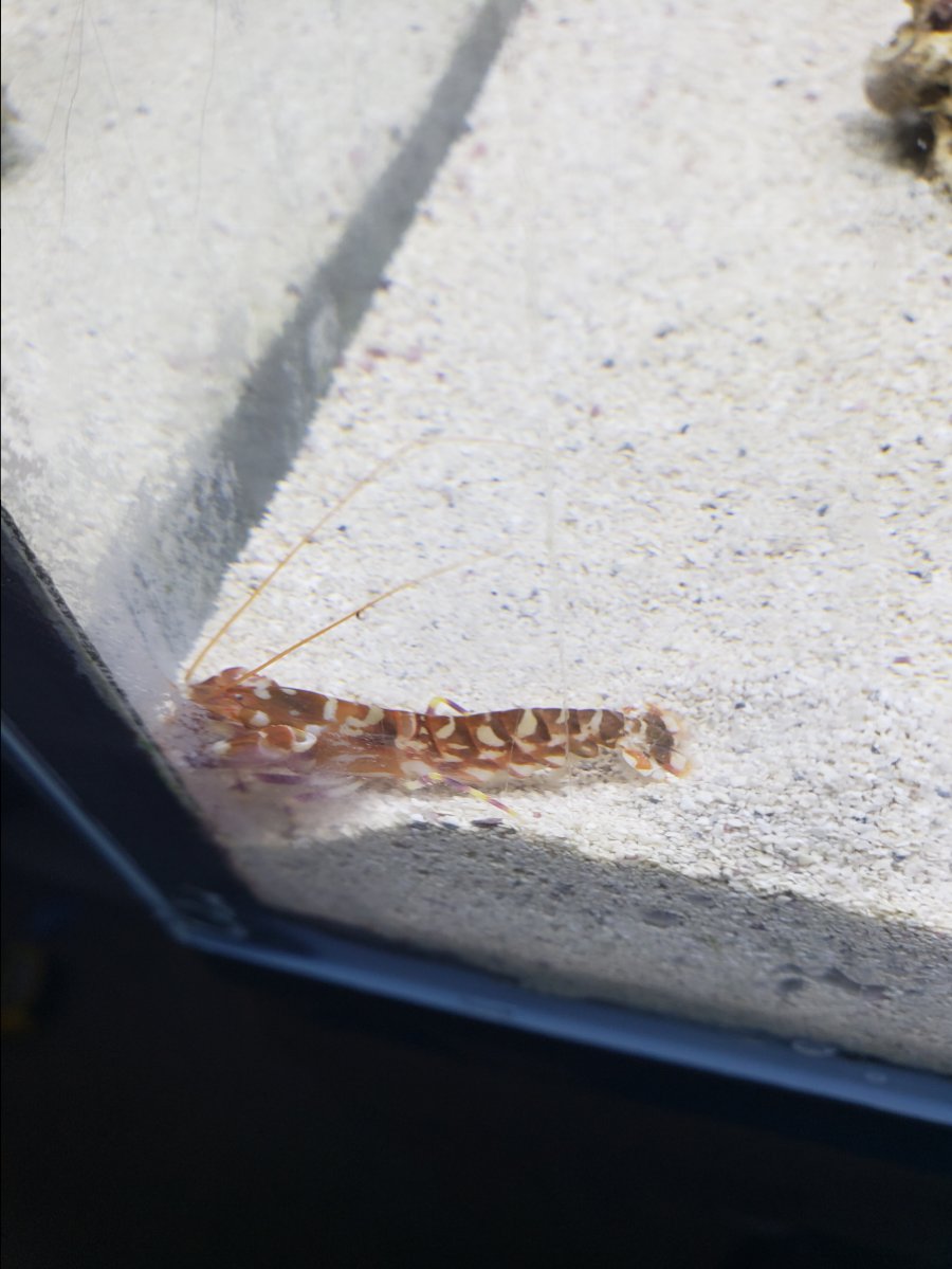 20180714_151001.jpg