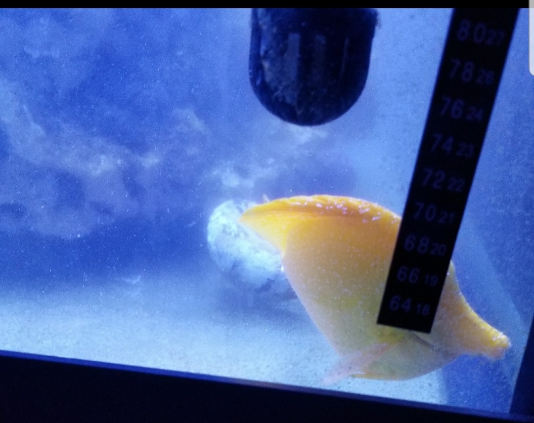 20180716_103215.jpg
