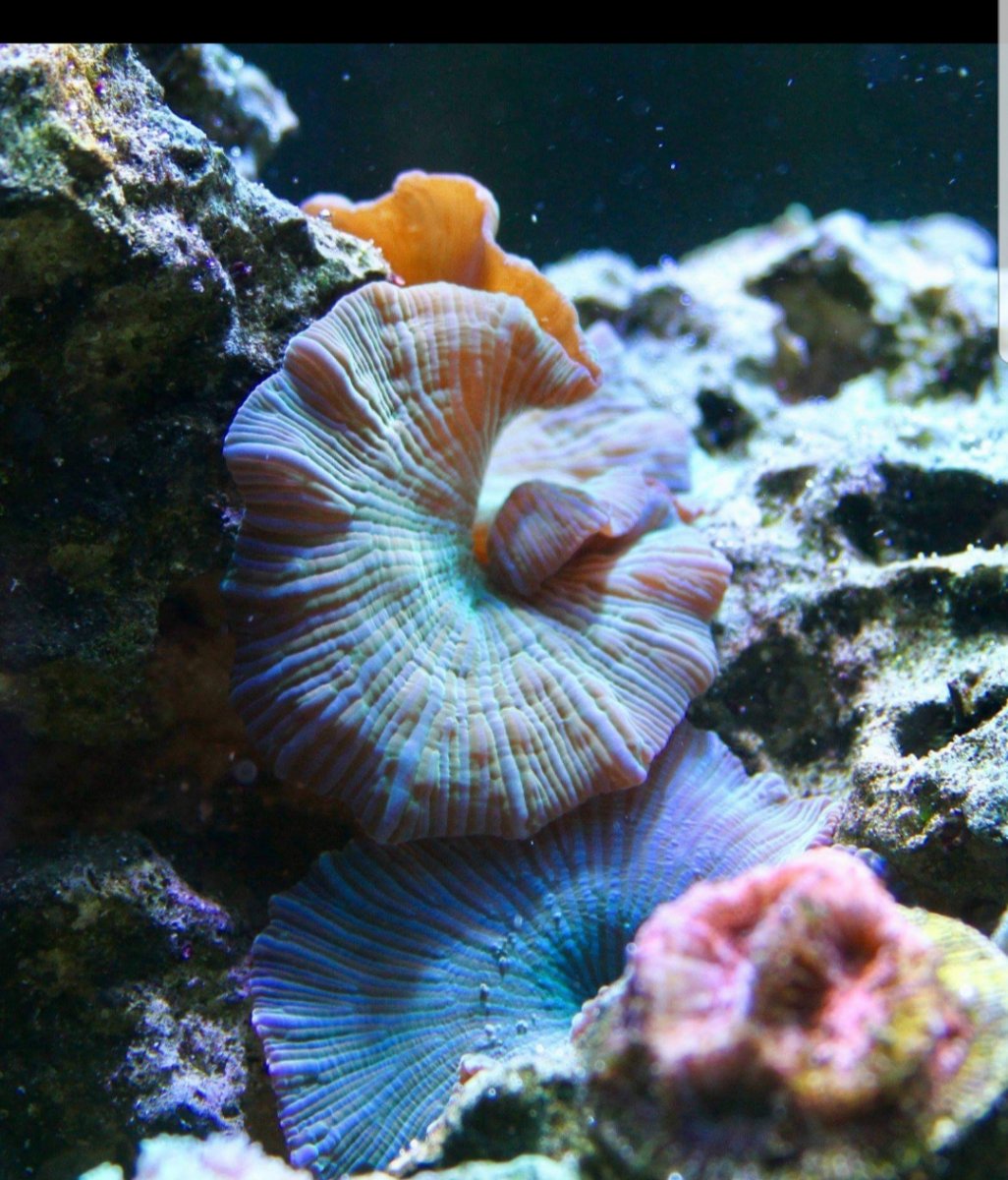 20180716_105542.jpg