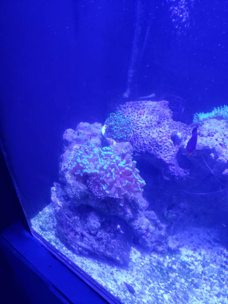20180719_142134.jpeg
