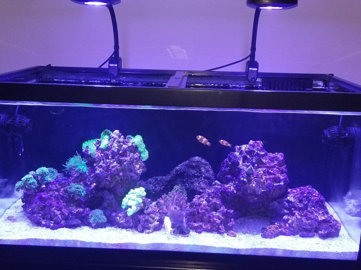 20180720_213411.jpg
