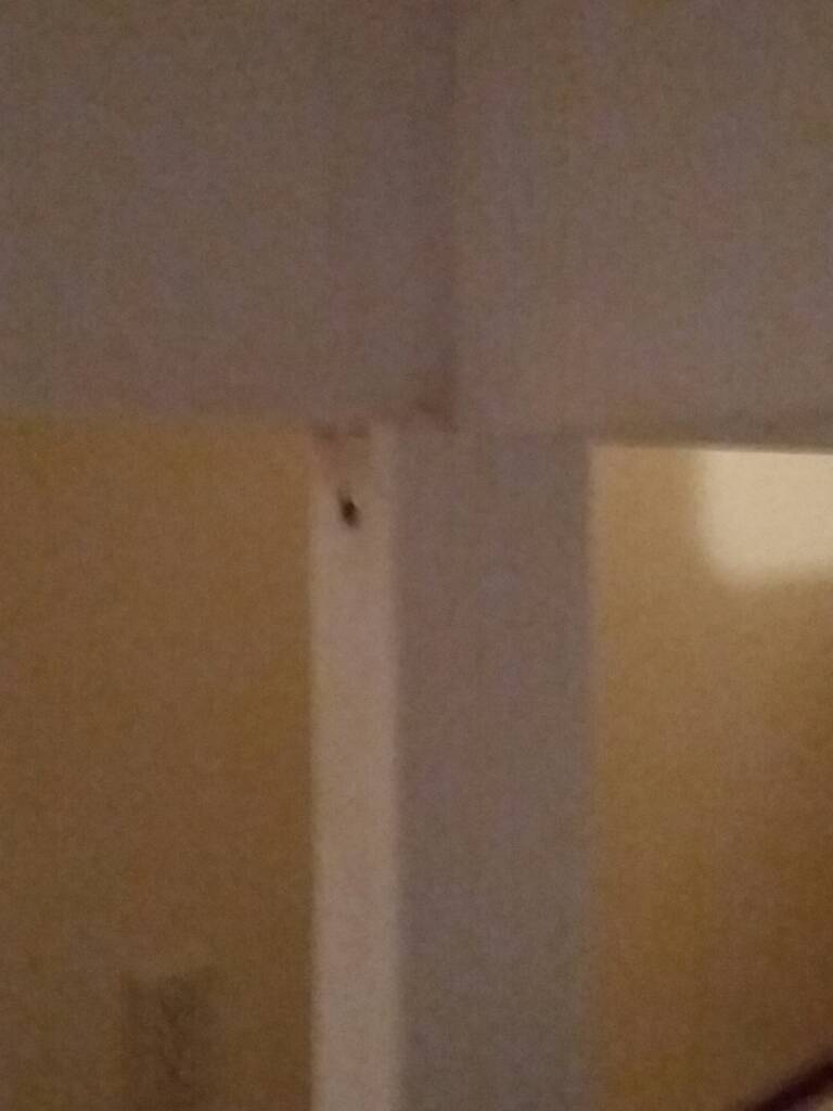 20180721_042146.jpeg