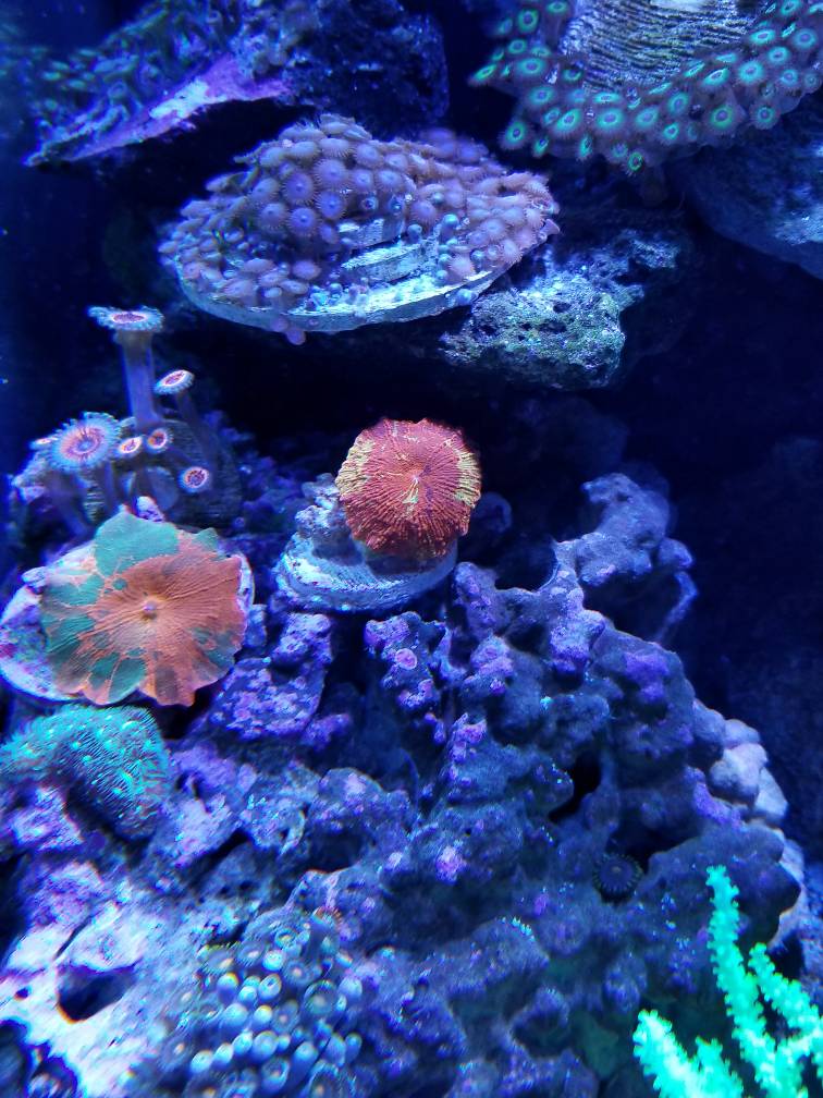 20180721_221949.jpeg