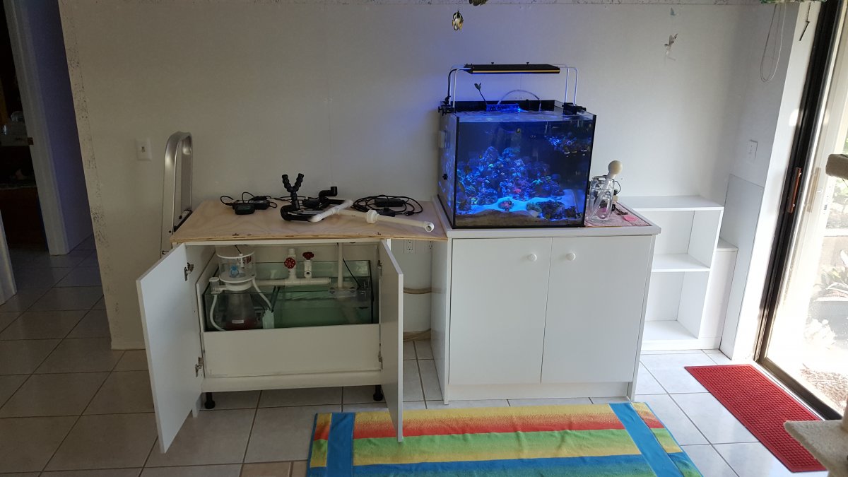 20180723_084336.jpg