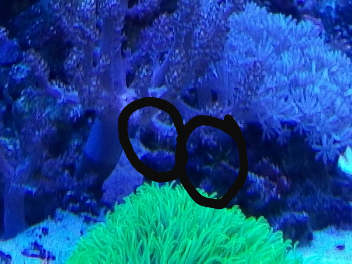 20180723_183429.jpg