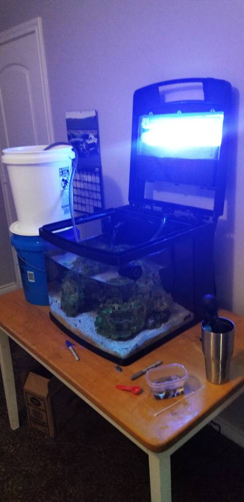 20180724_092132.jpeg