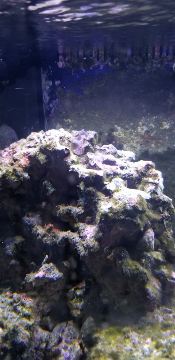 20180724_215334.jpg