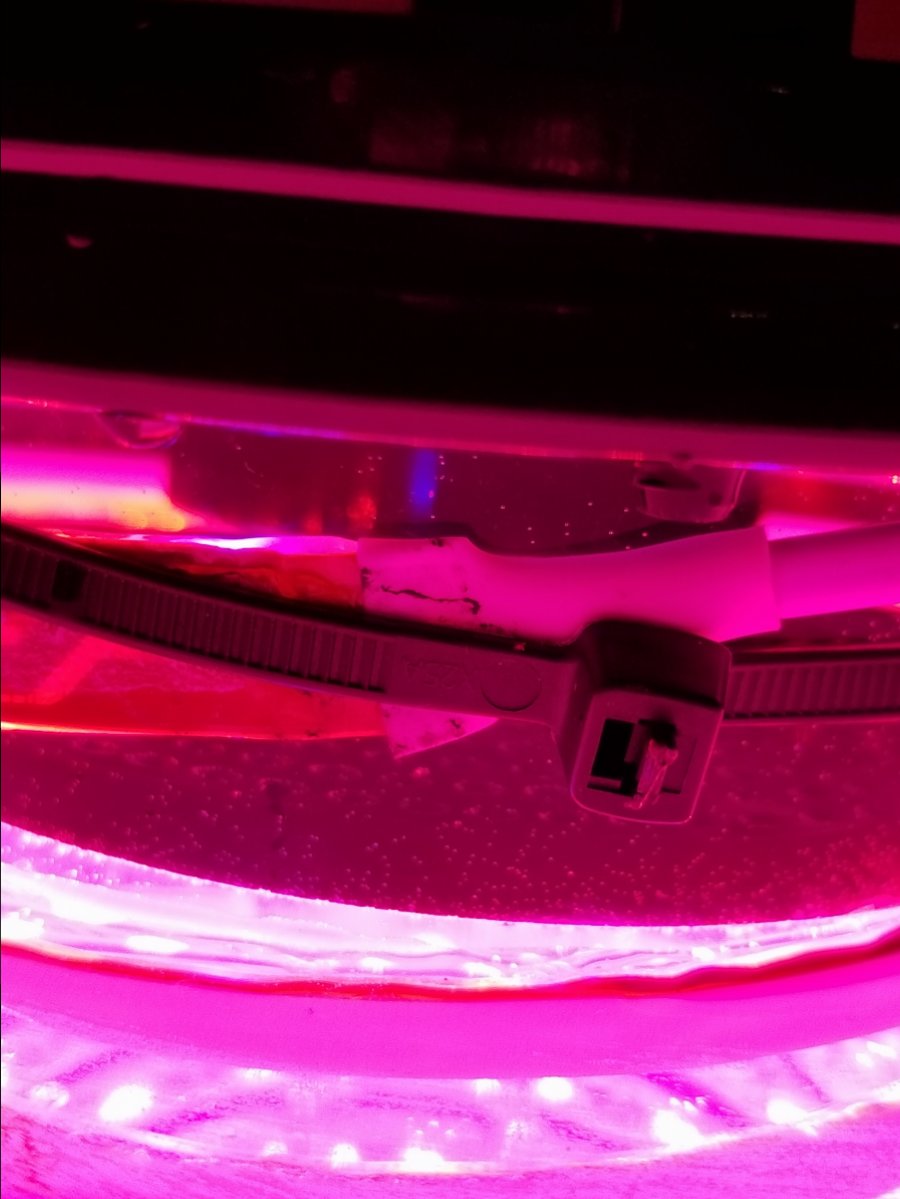 20180725_103817.jpg