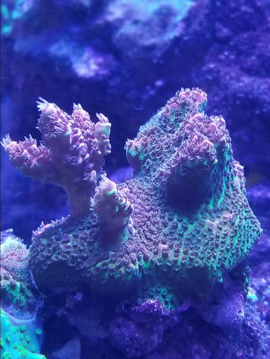 20180727_122843.jpg