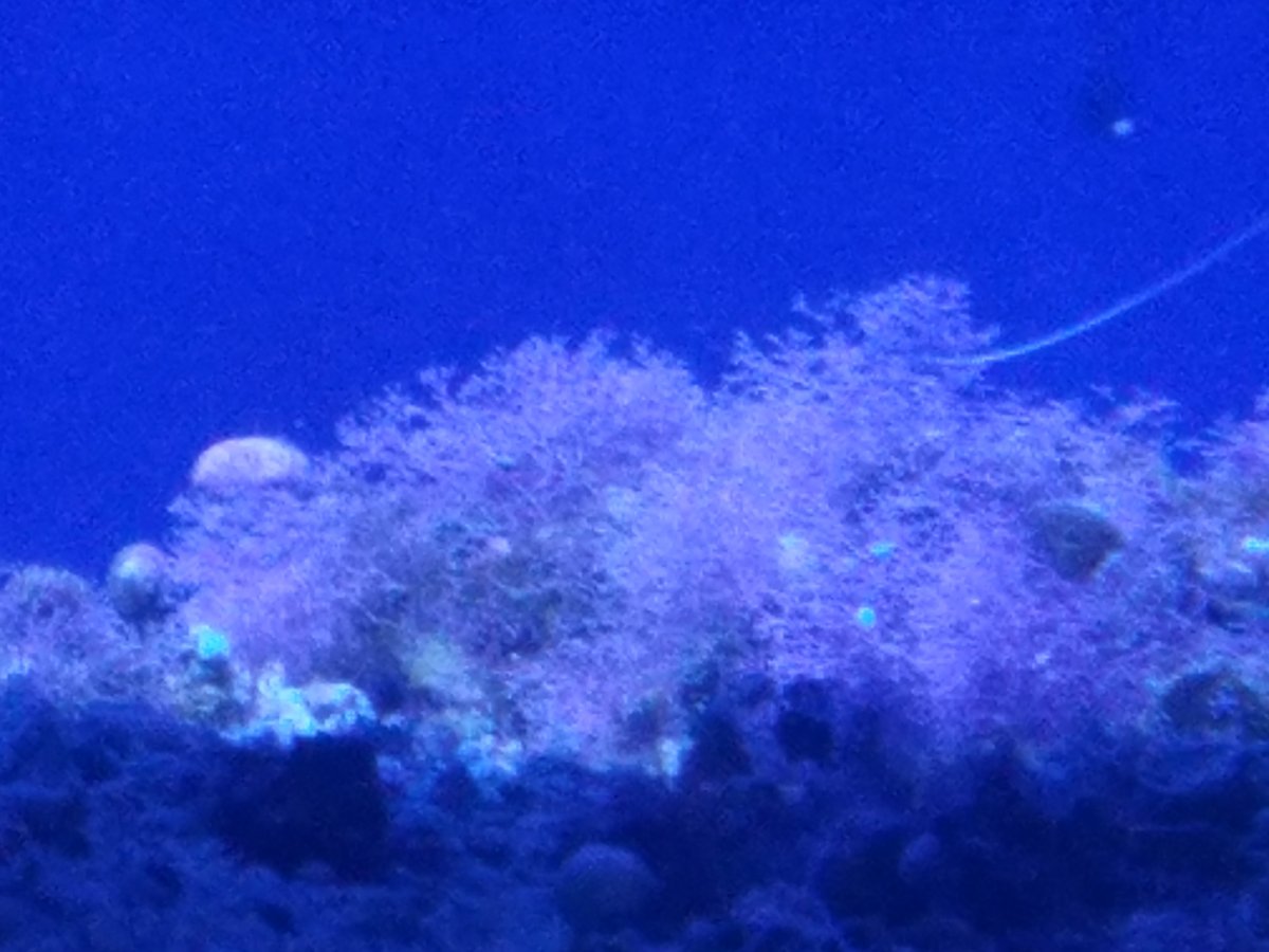 20180727_162001.jpg