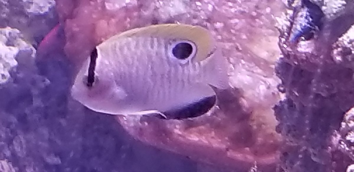 20180727_210544.jpg